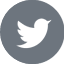 Twitter Tweet about this on Twitter